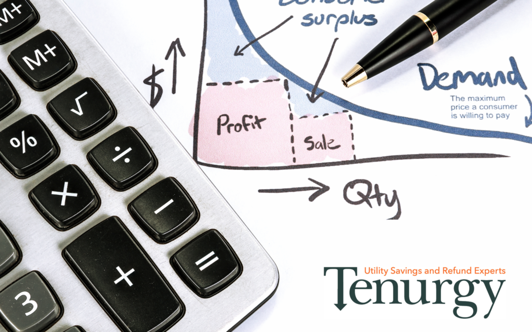 Understanding Natural Gas Price Trends and How Utility Bill Audits Can Help You Save